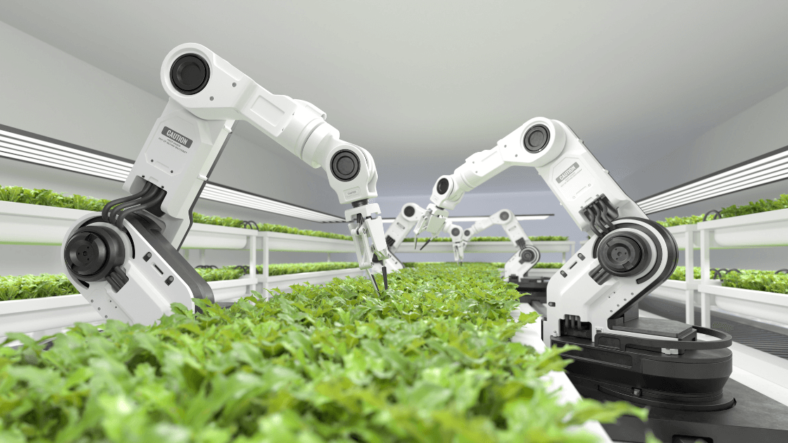 Agricultural Robot